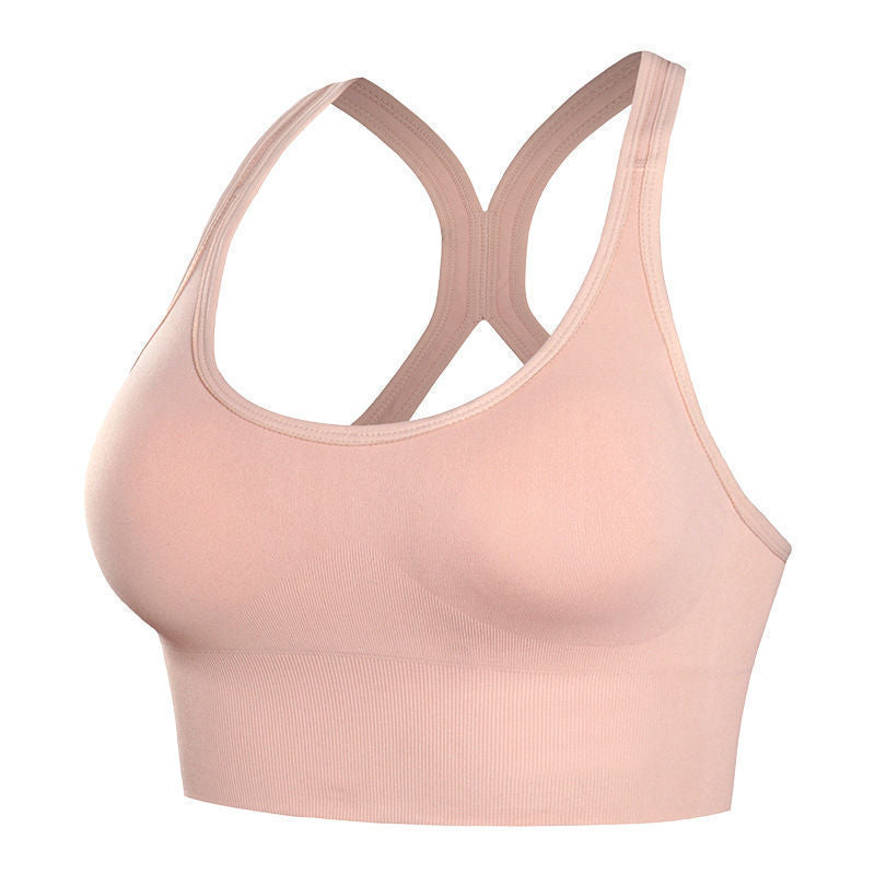 FitFlow Sports Bra